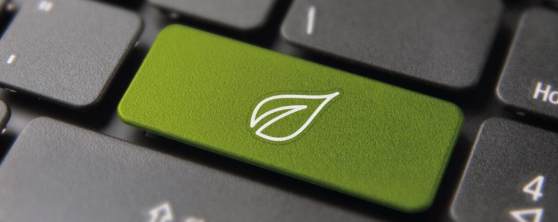 Eco-Friendly Business Solutions: Why Going Digital Matters